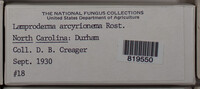 Image Associated With the Occurence